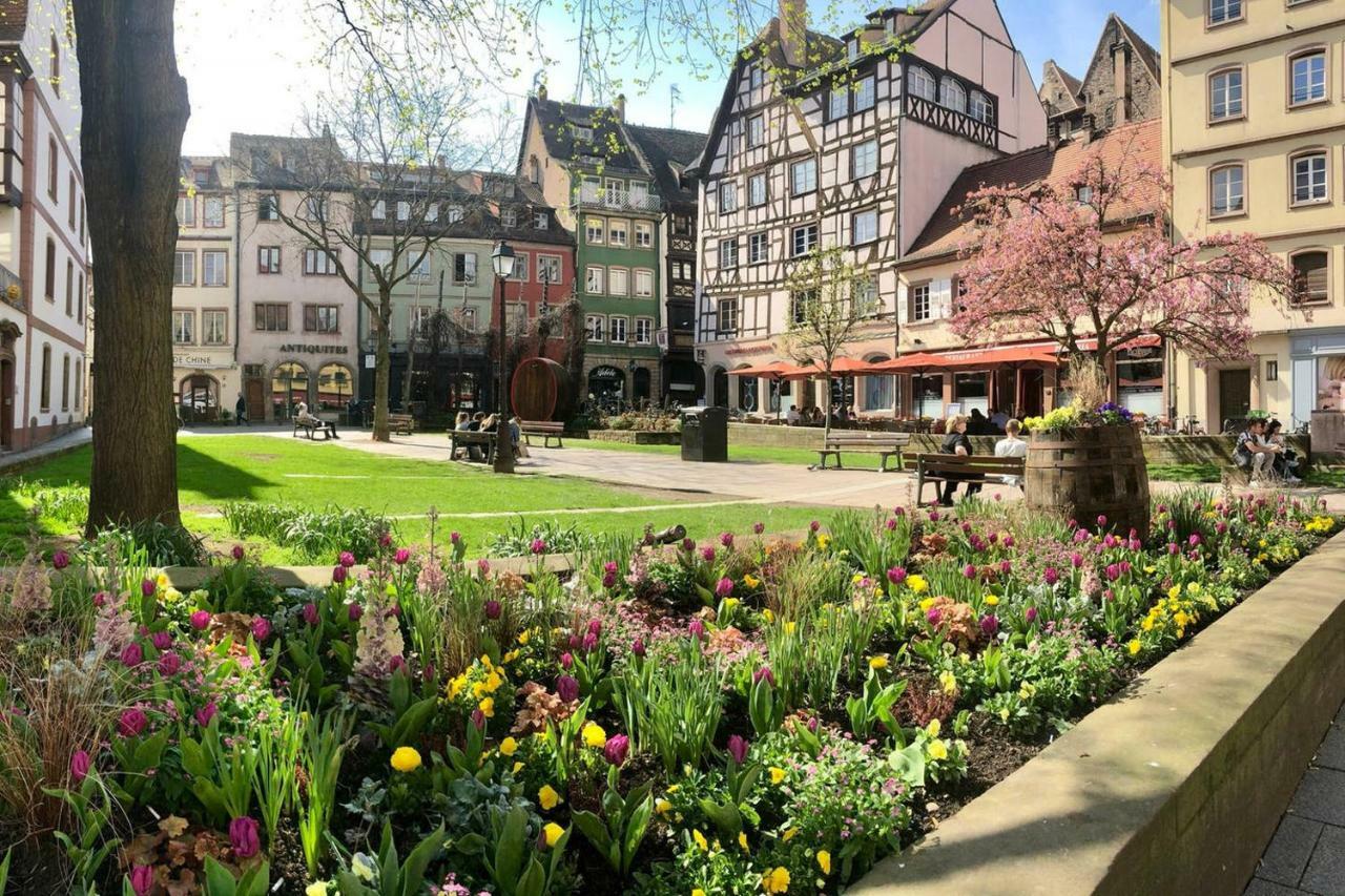 Grand 3 Pieces Stationnement Gratuit Dans La Rue Apartment Strasbourg Bagian luar foto